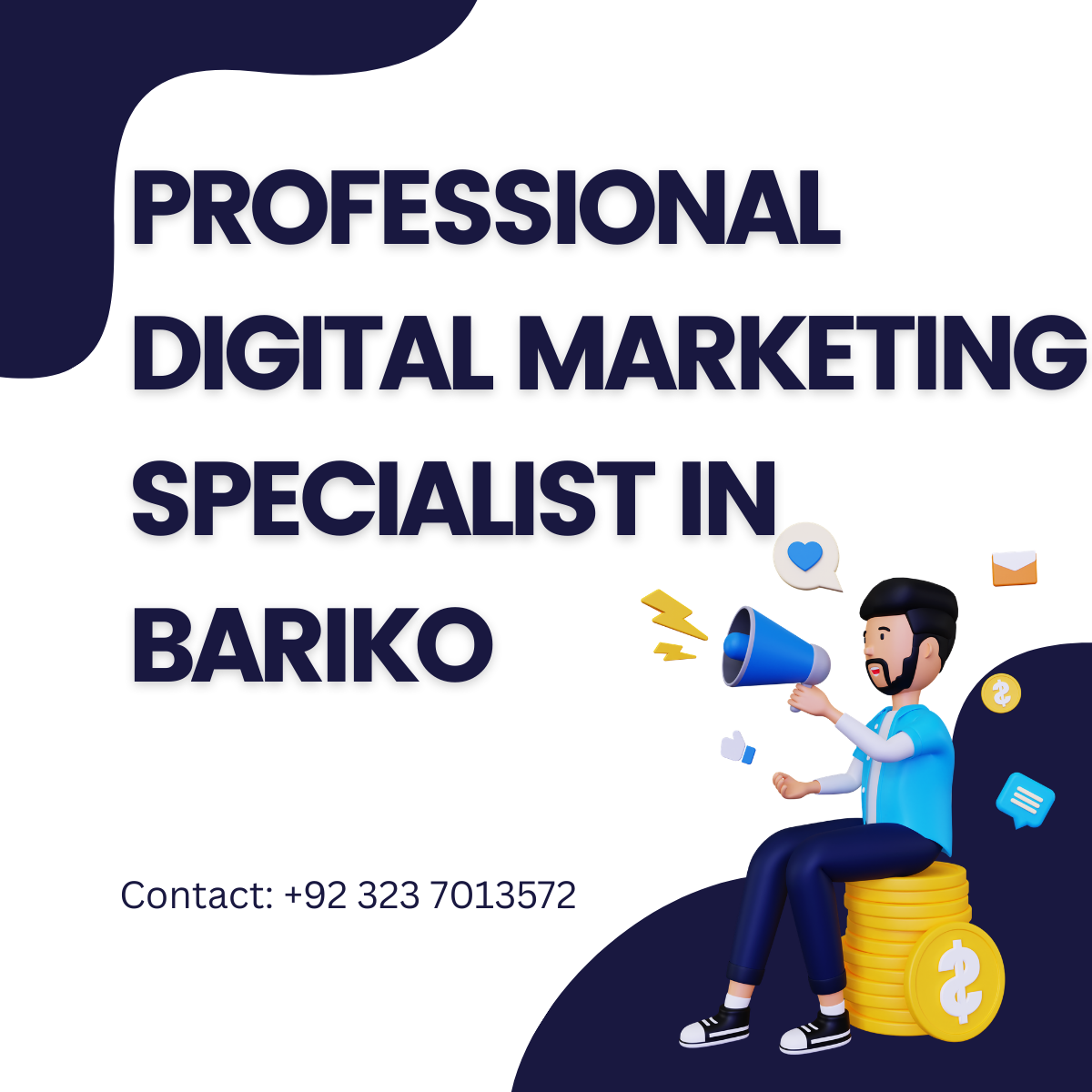 Professional Digital Marketing Specialist in Bariko