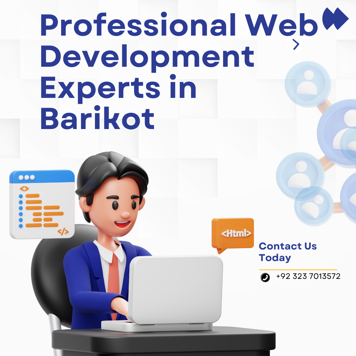Professional Web Development Experts in Barikot