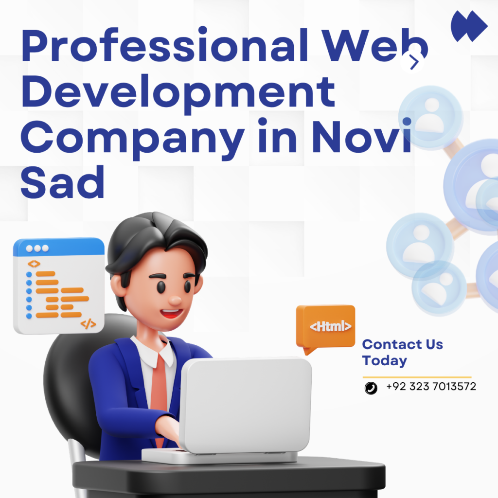 Professional Web Development Company in Novi Sad